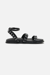 Dangerfield NZ - Stud Ankle Strap Sandal - black
