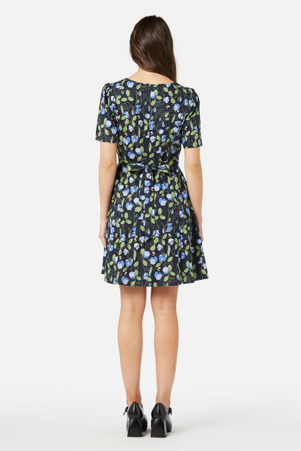 navy