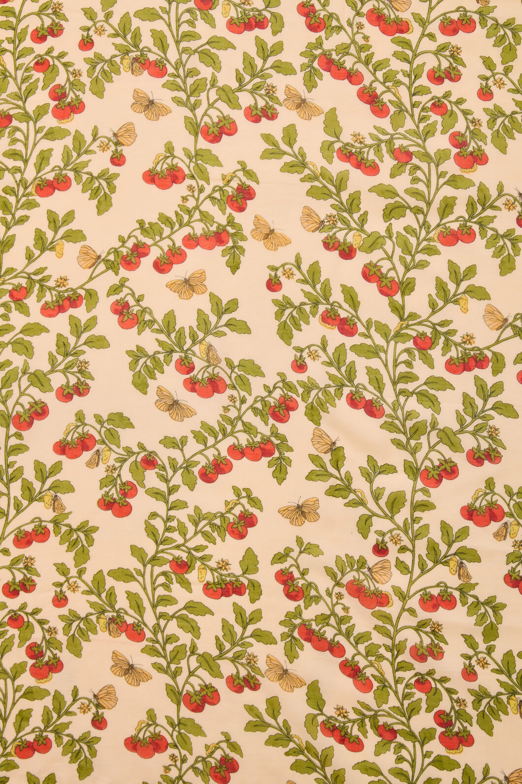 Princess Highway - Cherry Tomato Soft Scarf - cream