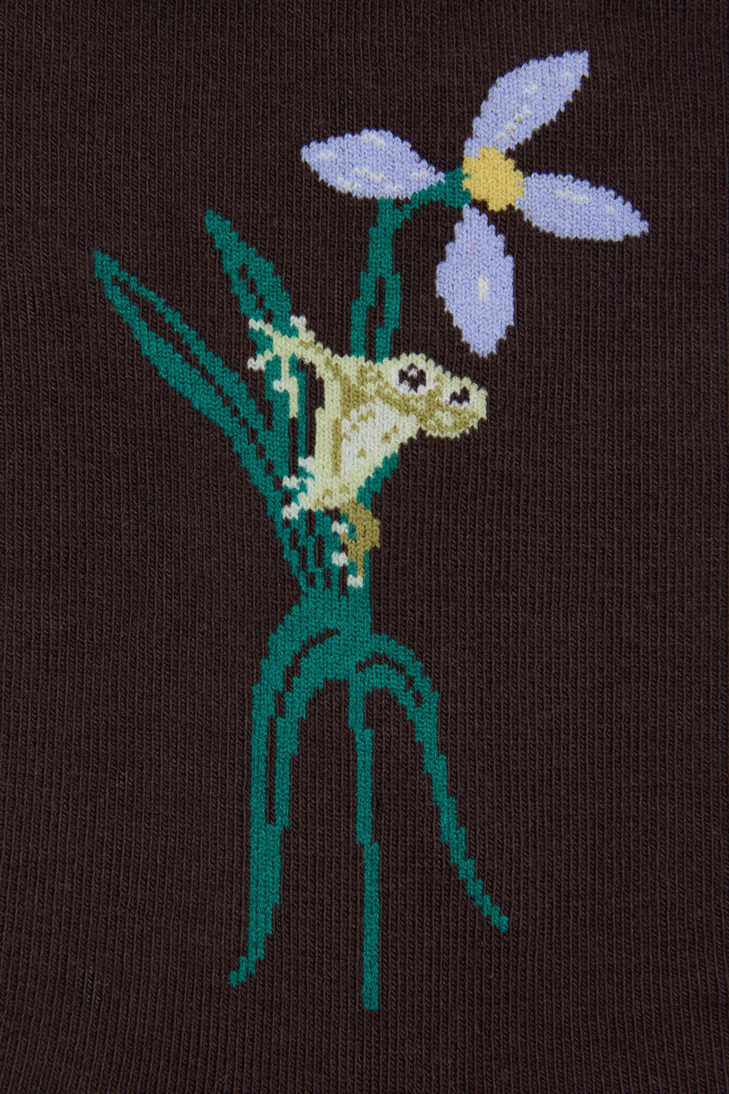 Princess Highway - Tiana Tree Frog Sock - chocolate