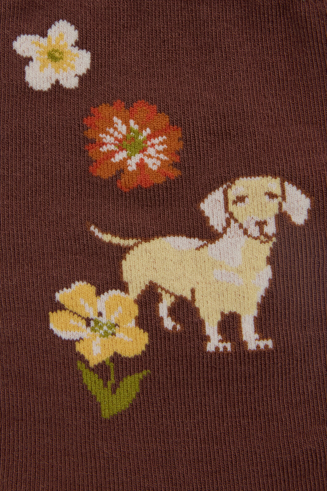 Princess Highway - Dachshund Sock - chocolate