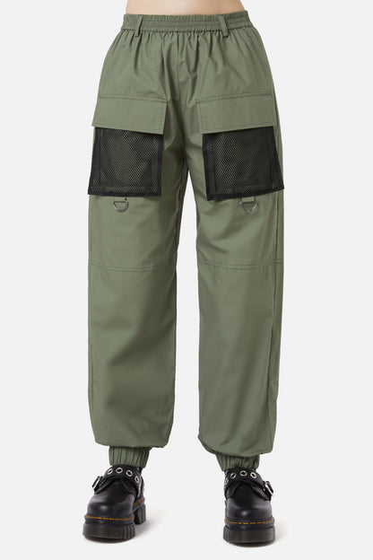 olive