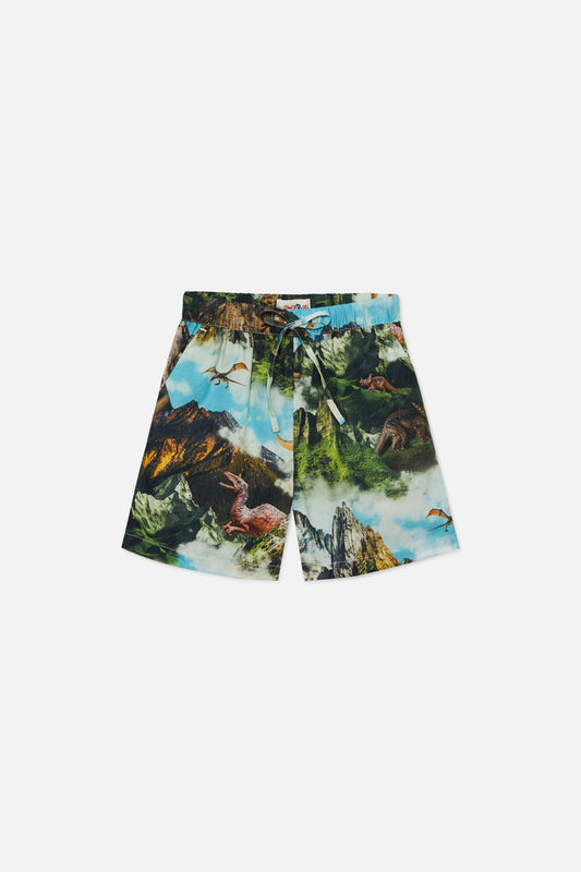 print